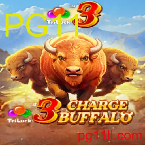 3ChargeBuffalo